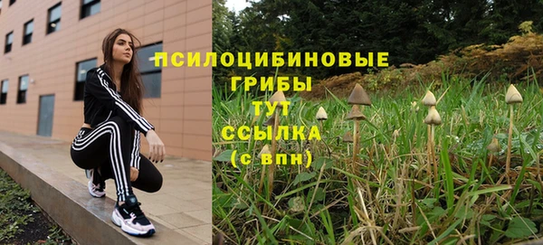 мескалин Гусиноозёрск