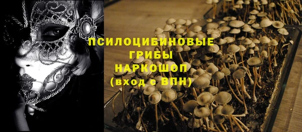 дживик Конаково